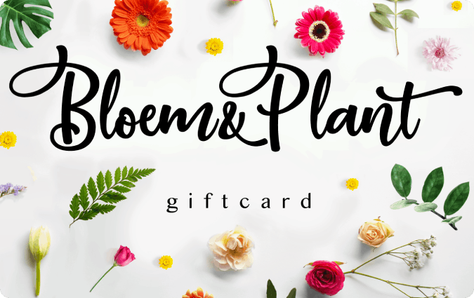 Bloem&Plant BE