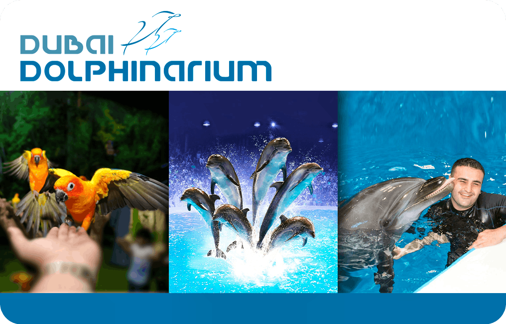 Dubai Dolphinarium UAE